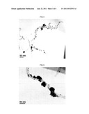 CARBON NANOTUBE COMPOSITE AND PREPARATION METHOD OF THE SAME diagram and image