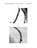 CARBON NANOTUBE COMPOSITE AND PREPARATION METHOD OF THE SAME diagram and image