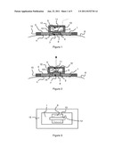 DEVICE AND METHOD FOR EVALUATING THE HYDRIC LOSS OF A PERSON OR AN ANIMAL     BY SWEATING diagram and image