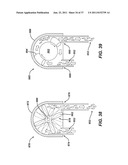 USE OF BIOMARKERS AND THERAPEUTIC AGENTS WITH SURGICAL DEVICES diagram and image