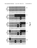 MULTI-COLUMN ADDRESSING MODE MEMORY SYSTEM INCLUDING AN INTEGRATED CIRCUIT     MEMORY DEVICE diagram and image