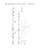 HEPARANASE DEFICIENT NON-HUMAN MAMMALS diagram and image