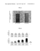 PROBE FOR VISUALIZING NEURAL ACTIVITY diagram and image