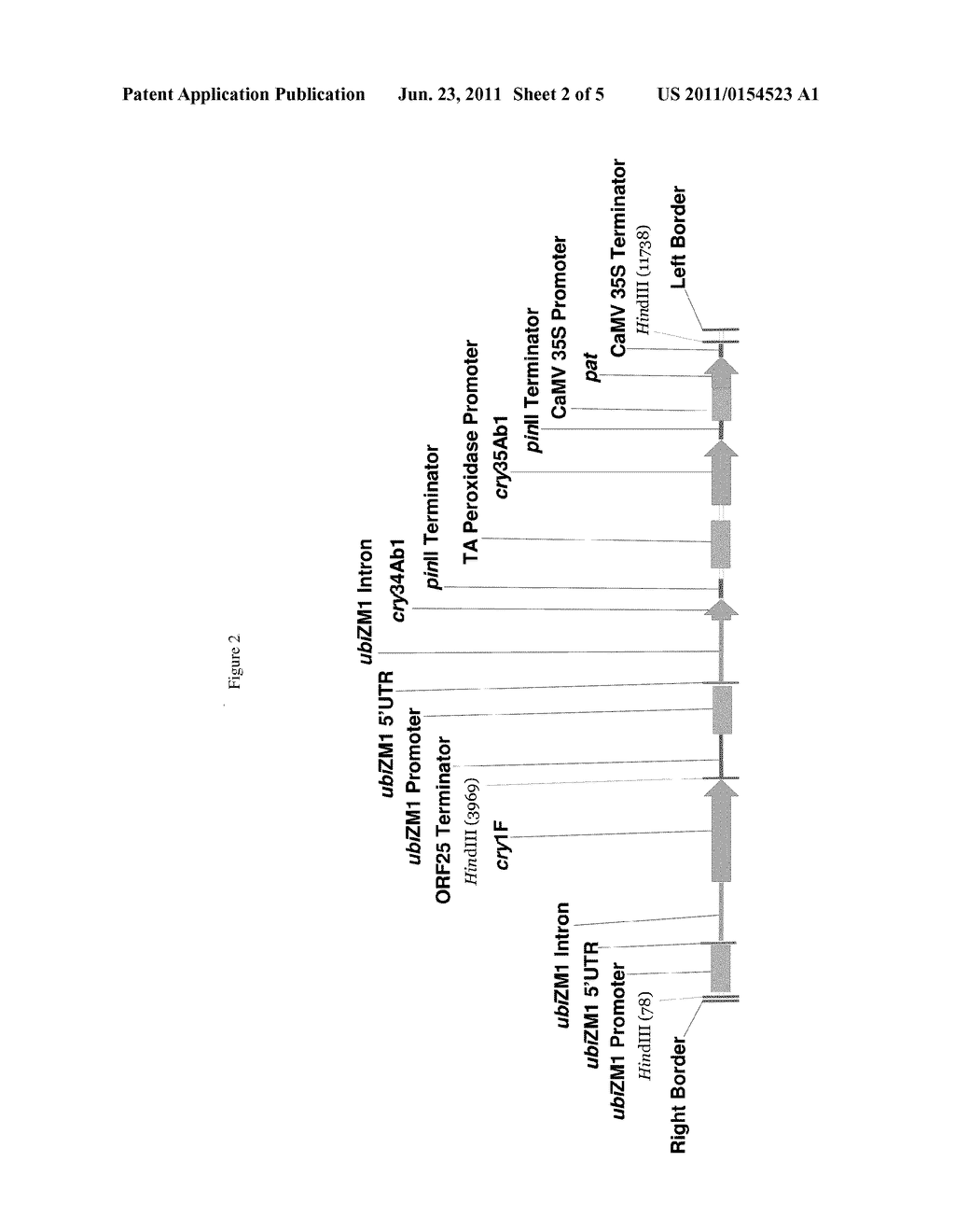 Maize event DP-004114-3 and methods for detection thereof - diagram, schematic, and image 03