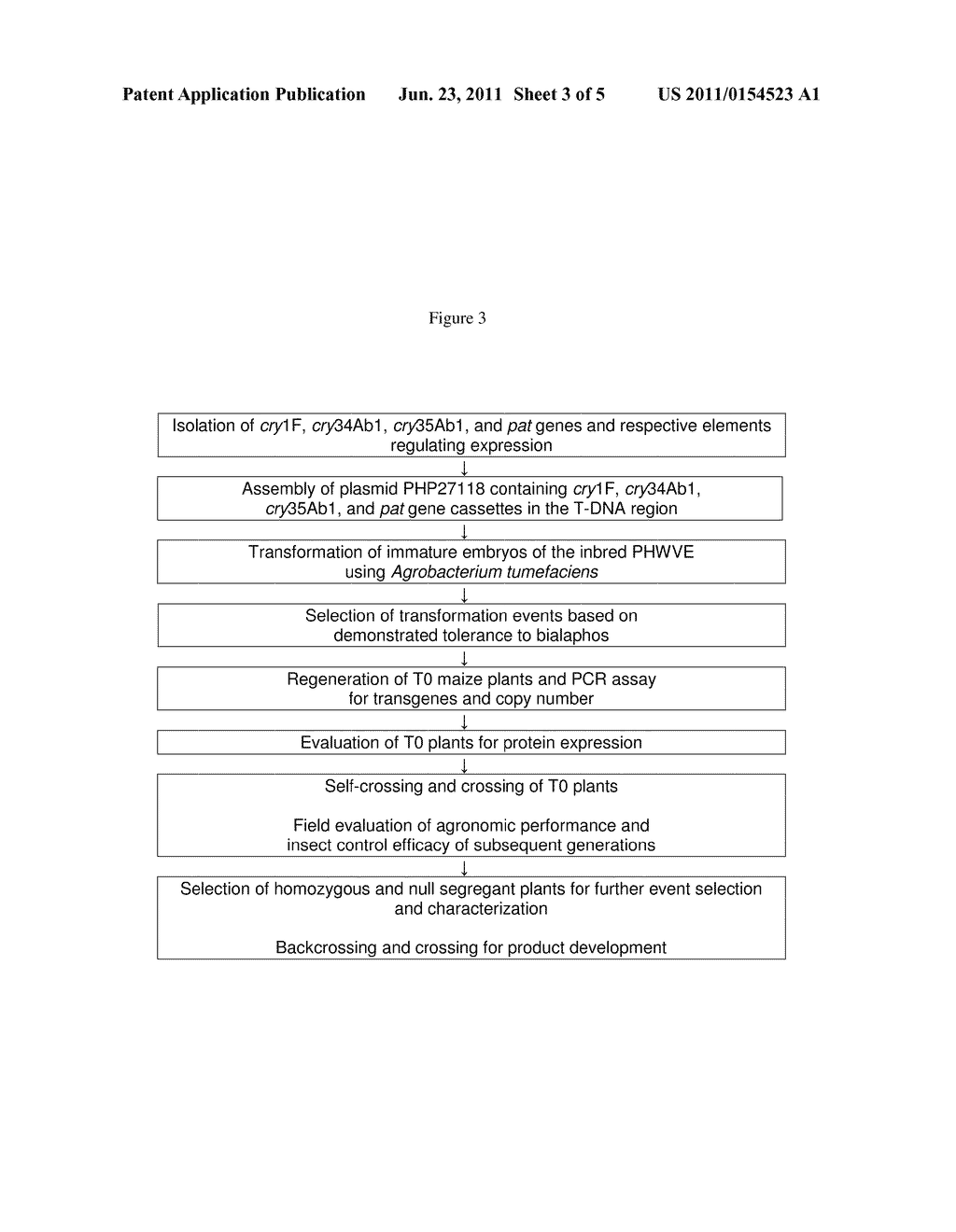 Maize event DP-004114-3 and methods for detection thereof - diagram, schematic, and image 04