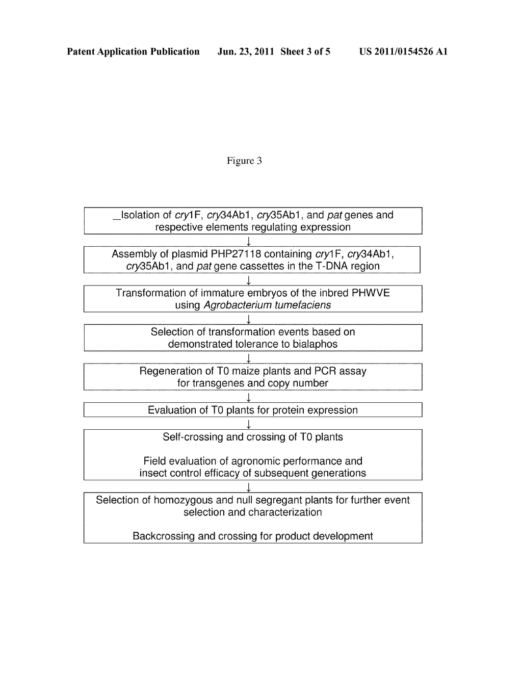 Maize event DP-043A47-3 and methods for detection thereof - diagram, schematic, and image 04