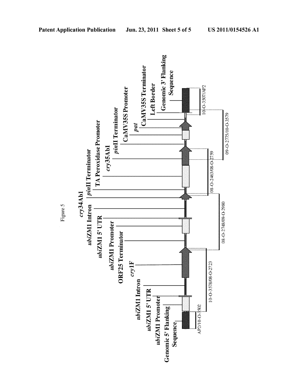 Maize event DP-043A47-3 and methods for detection thereof - diagram, schematic, and image 06