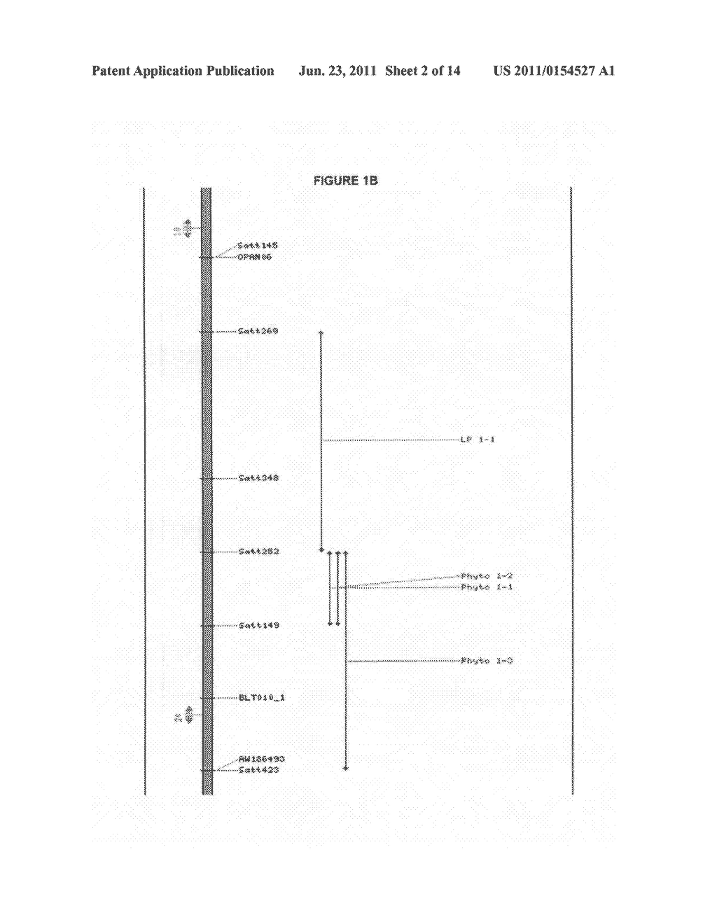 Soybean Gene for Resistance to Aphis Glycines - diagram, schematic, and image 03