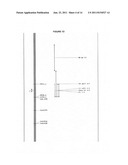 Soybean Gene for Resistance to Aphis Glycines diagram and image