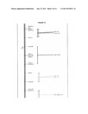 Soybean Gene for Resistance to Aphis Glycines diagram and image