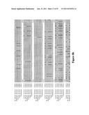 Wheat plants with immunity to wheat streak mosaic virus (WSMV) diagram and image