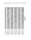 Wheat plants with immunity to wheat streak mosaic virus (WSMV) diagram and image