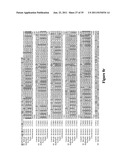 Wheat plants with immunity to wheat streak mosaic virus (WSMV) diagram and image