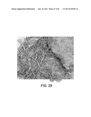 PROCESSING BIOMASS AND PETROLEUM CONTAINING MATERIALS diagram and image