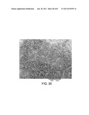 PROCESSING BIOMASS AND PETROLEUM CONTAINING MATERIALS diagram and image