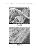 PROCESSING BIOMASS AND PETROLEUM CONTAINING MATERIALS diagram and image