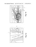 AREA PROJECTION SYSTEM FOR REPRODUCING A VISUAL SIGNAL ON A SURFACE diagram and image