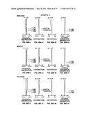 ZOOM LENS FOR PROJECTION AND PROJECTION-TYPE DISPLAY APPARATUS diagram and image