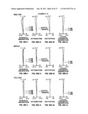 ZOOM LENS FOR PROJECTION AND PROJECTION-TYPE DISPLAY APPARATUS diagram and image