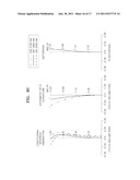 ZOOM LENS AND PHOTOGRAPHING APPARATUS HAVING THE SAME diagram and image