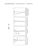 ZOOM LENS AND PHOTOGRAPHING APPARATUS INCLUDING THE SAME diagram and image