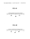 CAPACITOR FOR INCORPORATION IN WIRING BOARD, WIRING BOARD, METHOD OF     MANUFACTURING WIRING BOARD, AND CERAMIC CHIP FOR EMBEDMENT diagram and image