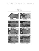 Methods of blocking ultraviolet radiation and promoting skin growth using     terpenes and terpenoids diagram and image