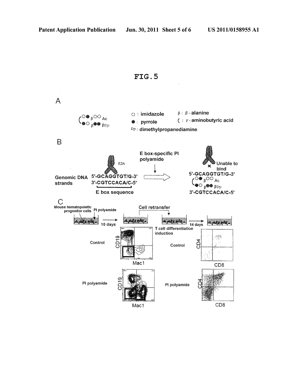 METHOD FOR PRODUCING CELLS HAVING CHARACTERISTIC OF HEMATOPOIETIC STEM     CELLS/PROGENITOR CELLS - diagram, schematic, and image 06