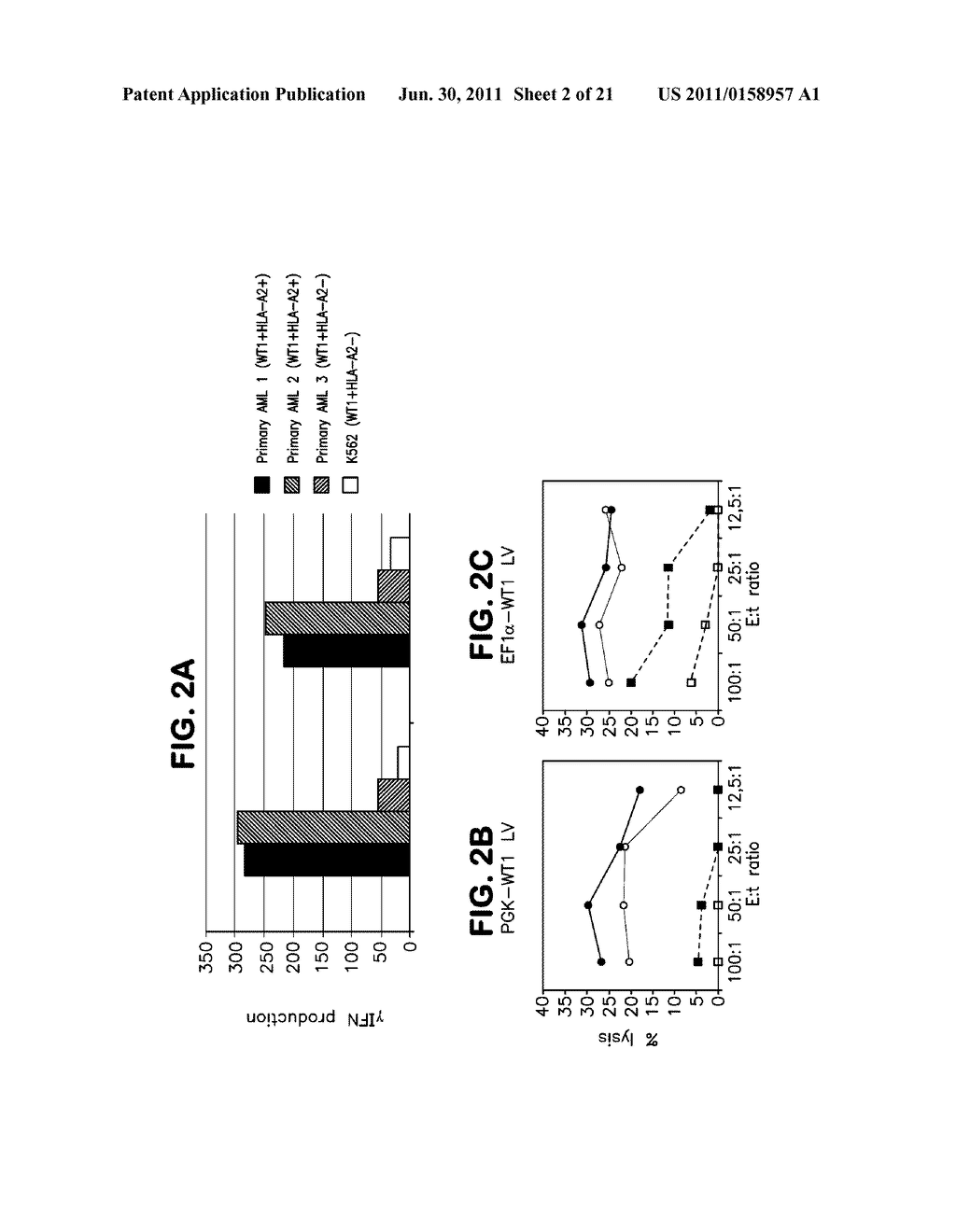 Targeted disruption of T cell receptor genes using engineered zinc finger     protein nucleases - diagram, schematic, and image 03