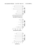 METHODS TO TREAT AND SCREEN FOR AGENTS TO TREAT OBESITY diagram and image