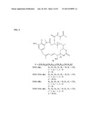 CYTOTOXIC AGENTS COMPRISING NEW MAYTANSINOIDS diagram and image