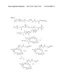 CYTOTOXIC AGENTS COMPRISING NEW MAYTANSINOIDS diagram and image