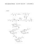 CYTOTOXIC AGENTS COMPRISING NEW MAYTANSINOIDS diagram and image