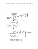 CYTOTOXIC AGENTS COMPRISING NEW MAYTANSINOIDS diagram and image