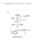 CYTOTOXIC AGENTS COMPRISING NEW MAYTANSINOIDS diagram and image