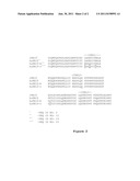 Engineered Anti-IL-23R Antibodies diagram and image