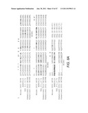 Anti-ADDL Antibodies and Uses Thereof diagram and image