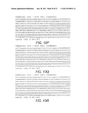 Anti-ADDL Antibodies and Uses Thereof diagram and image