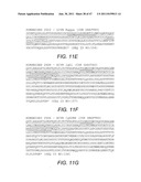 Anti-ADDL Antibodies and Uses Thereof diagram and image