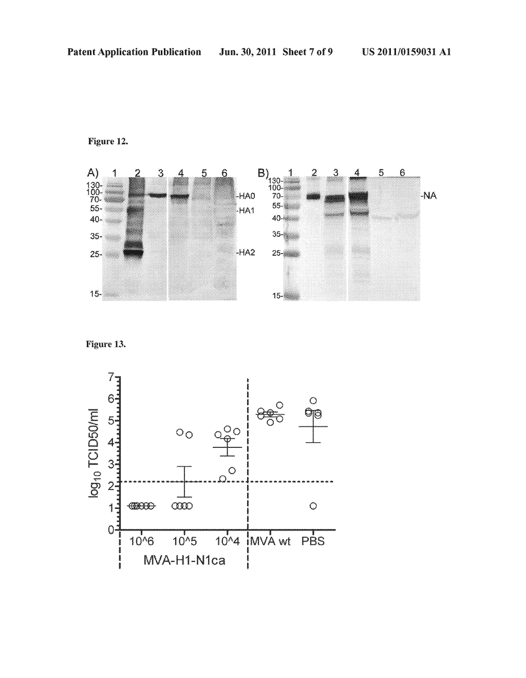 Vaccine to Influenza A Virus - diagram, schematic, and image 08