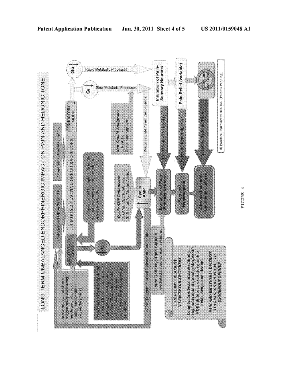 METHODS AND COMPOSITIONS FOR TREATING DISTRESS DYSFUNCTION AND ENHANCING     SAFETY AND EFFICACY OF SPECIFIC MEDICATIONS - diagram, schematic, and image 05
