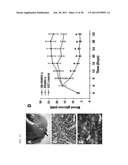 Composite for Thermo-Sensitive Cell-Tissue Transplanted Scaffold and Use     thereof diagram and image