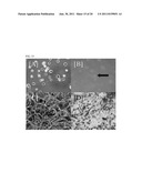 Composite for Thermo-Sensitive Cell-Tissue Transplanted Scaffold and Use     thereof diagram and image