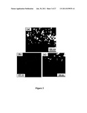 BIOMATERIALS AND IMPLANTS FOR ENHANCED CARTILAGE FORMATION, AND METHODS     FOR MAKING AND USING THEM diagram and image