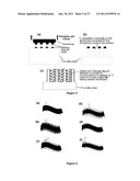 BIOMATERIALS AND IMPLANTS FOR ENHANCED CARTILAGE FORMATION, AND METHODS     FOR MAKING AND USING THEM diagram and image