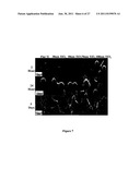 BIOMATERIALS AND IMPLANTS FOR ENHANCED CARTILAGE FORMATION, AND METHODS     FOR MAKING AND USING THEM diagram and image