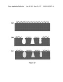 BIOMATERIALS AND IMPLANTS FOR ENHANCED CARTILAGE FORMATION, AND METHODS     FOR MAKING AND USING THEM diagram and image