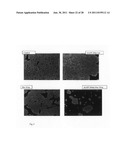 Recombinant alpha-fetoprotein and compositions thereof diagram and image