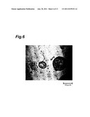 MICROCAPSULES, METHOD OF PRODUCING THE MICROCAPSULES AND FOOD AND DRINK     CONTAINING THE MICROCAPSULES diagram and image