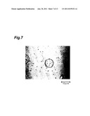 MICROCAPSULES, METHOD OF PRODUCING THE MICROCAPSULES AND FOOD AND DRINK     CONTAINING THE MICROCAPSULES diagram and image